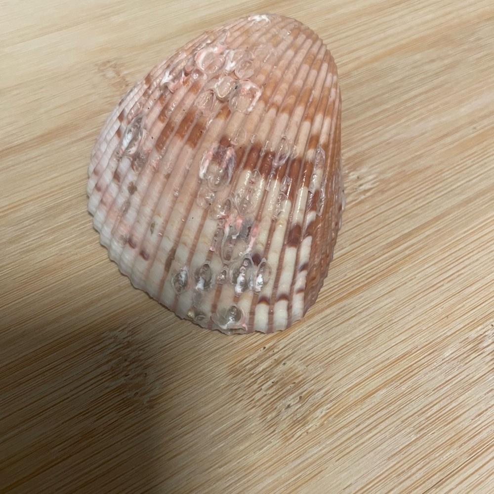 Pink Shell Candle - Picture 3 of 3